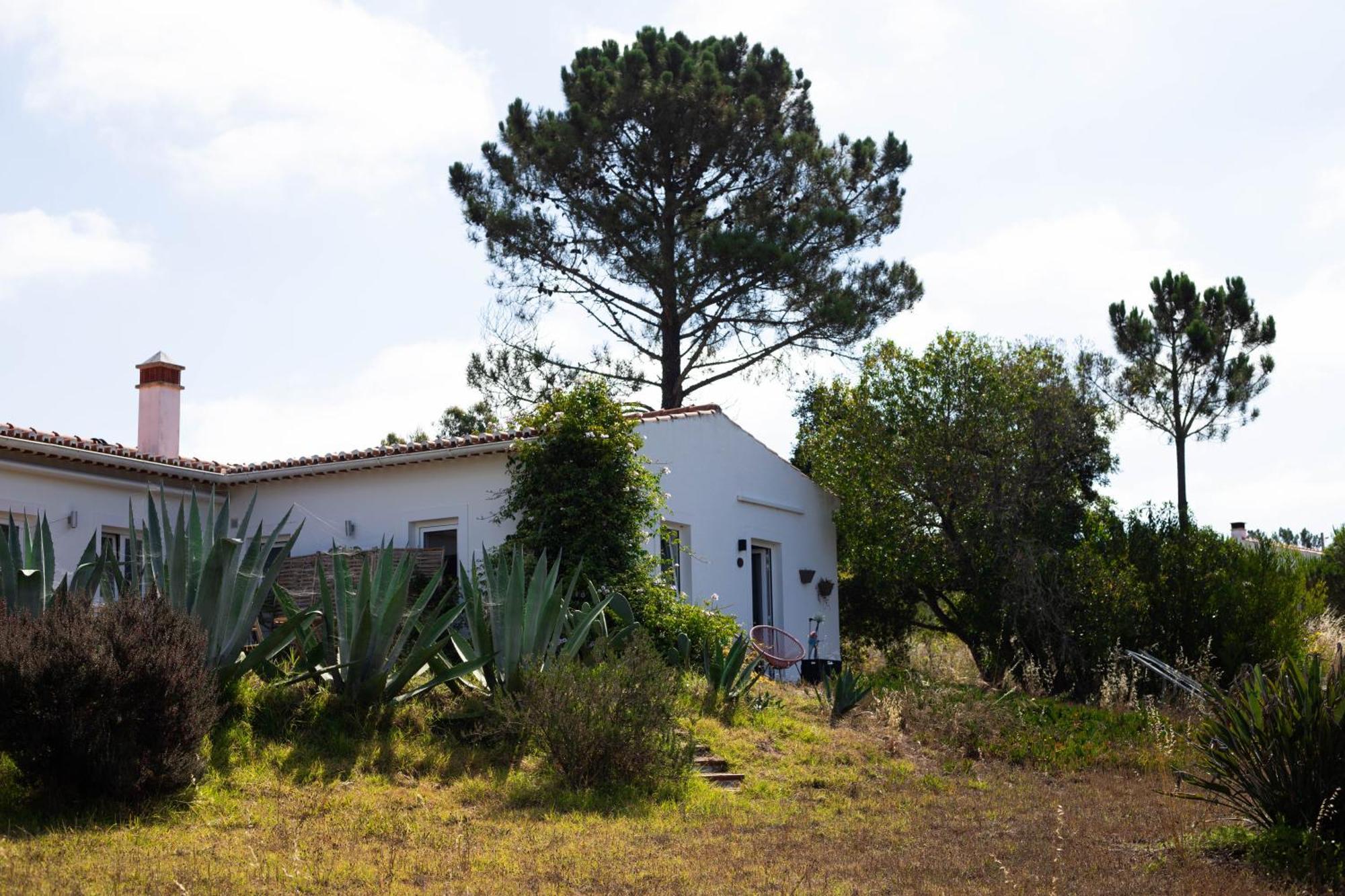 Monte Da Urze Aljezur - Agroturismo Exterior foto